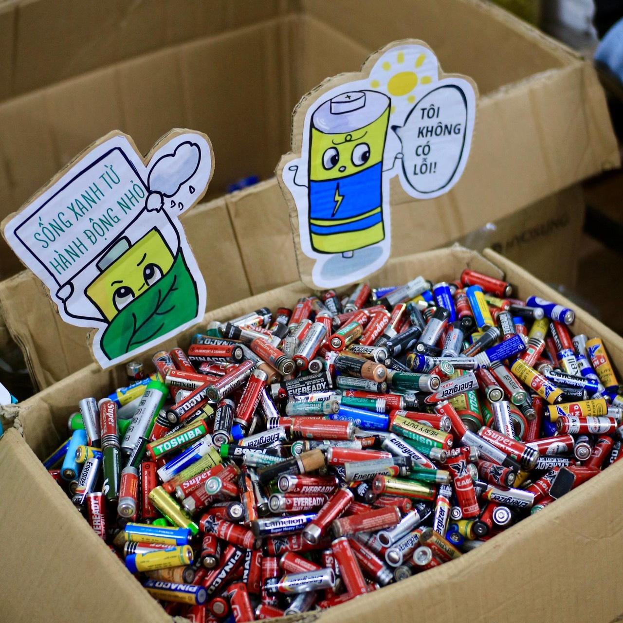 Người trẻ “phủ xanh” mạng xã hội