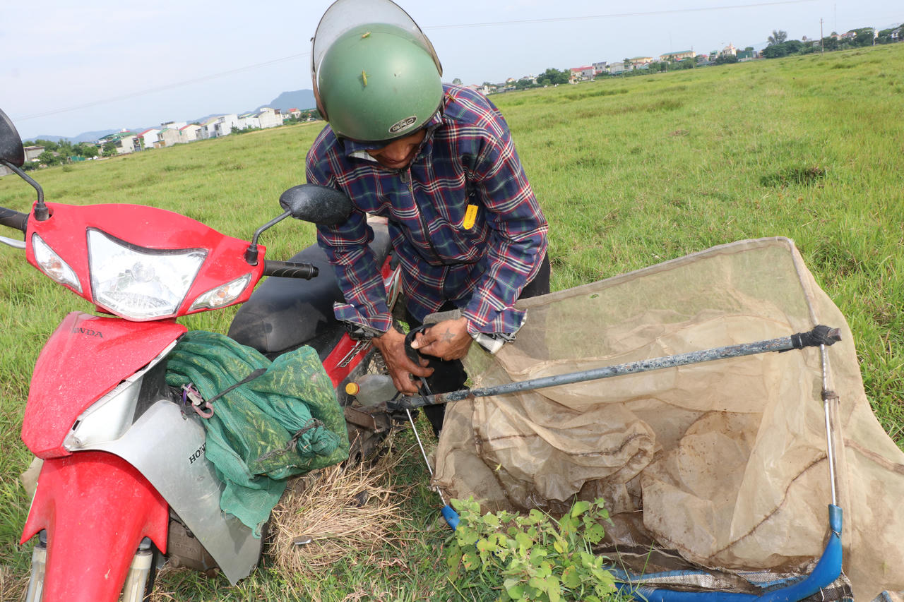 Mùa săn “tôm bay” 