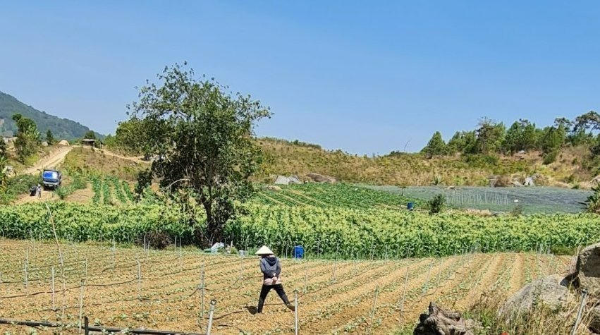 1 tài sản, 3 lần mở thừa kế, sổ đỏ "lọt cửa" nhiều cơ quan chuyên môn