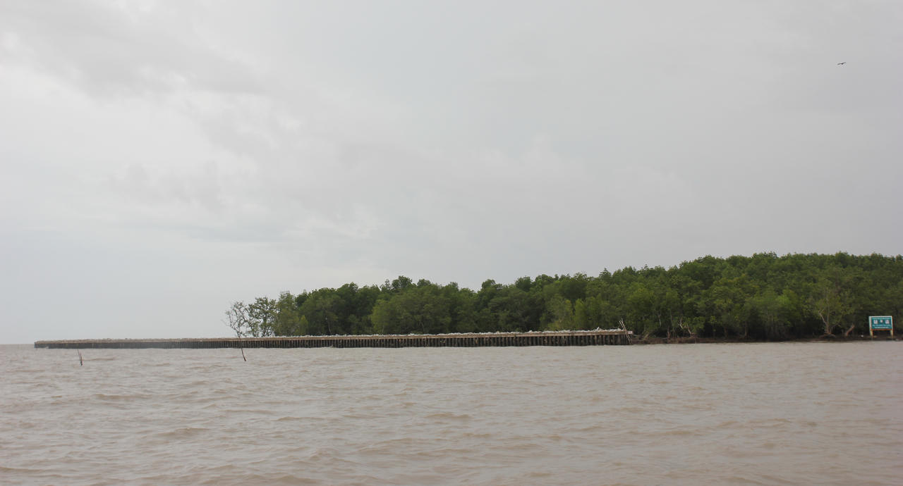 Giữ đất cho 'Mũi thuyền' Cà Mau - Bài 1: Thực tế đáng báo động