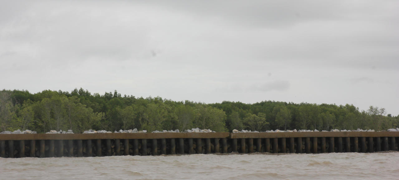 Giữ đất cho 'Mũi thuyền" Cà Mau- Bài 3: Cần một cơ chế ưu tiên