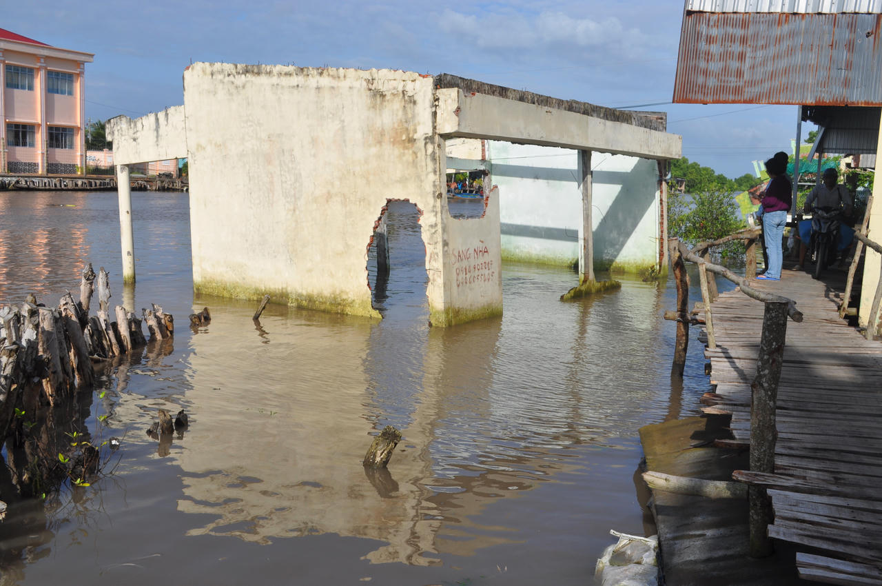 Giữ đất cho “Mũi thuyền” Cà Mau - Bài 4: Người dân đang mong chờ những quyết sách đặc biệt