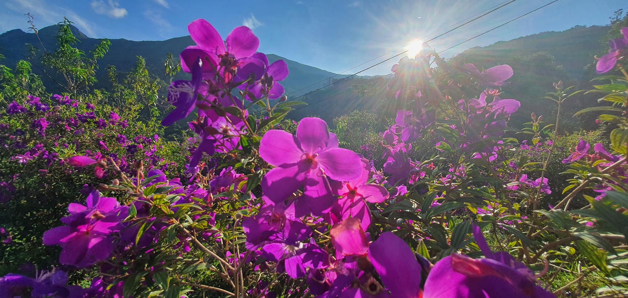 Ngang qua Bình yên ở Bình Liêu