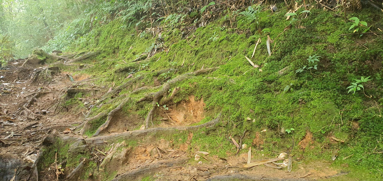 “Bước chân trên mây – chinh phục đỉnh Tà Chì Nhù”: Hành trình của những nhà báo hạnh phúc