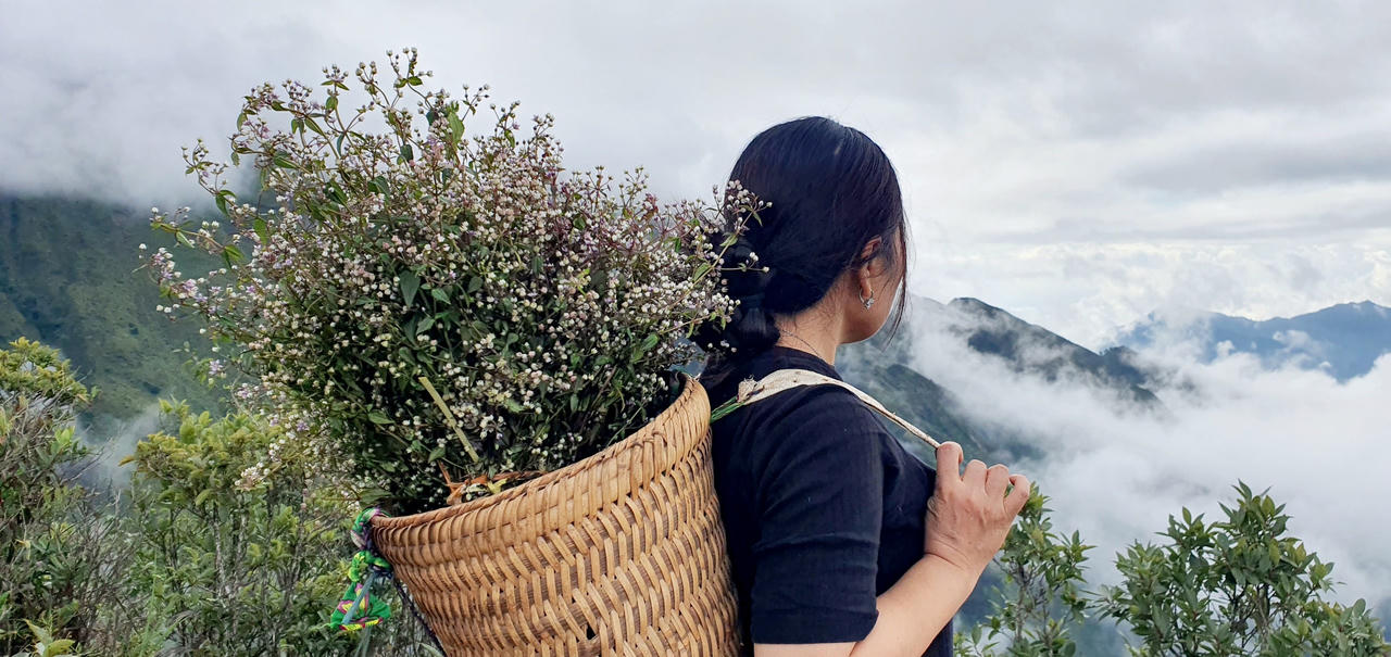 “Bước chân trên mây – chinh phục đỉnh Tà Chì Nhù”: Hành trình của những nhà báo hạnh phúc