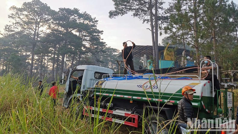 Cháy tại khu rừng thông lớn thuộc khu du lịch quốc gia hồ Tuyền Lâm