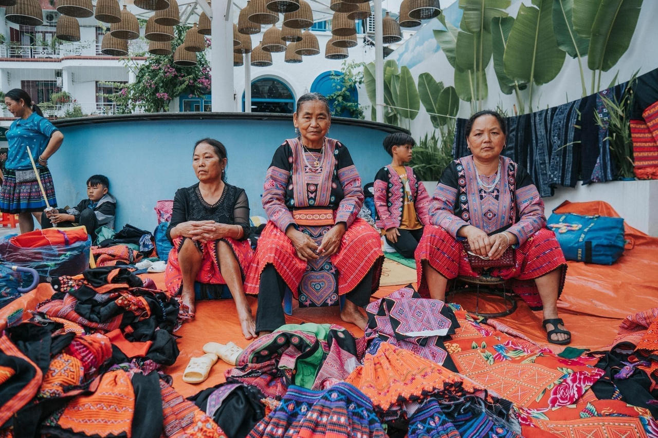 Mộc Châu rực rỡ chào đón Tết Độc lập 2024 