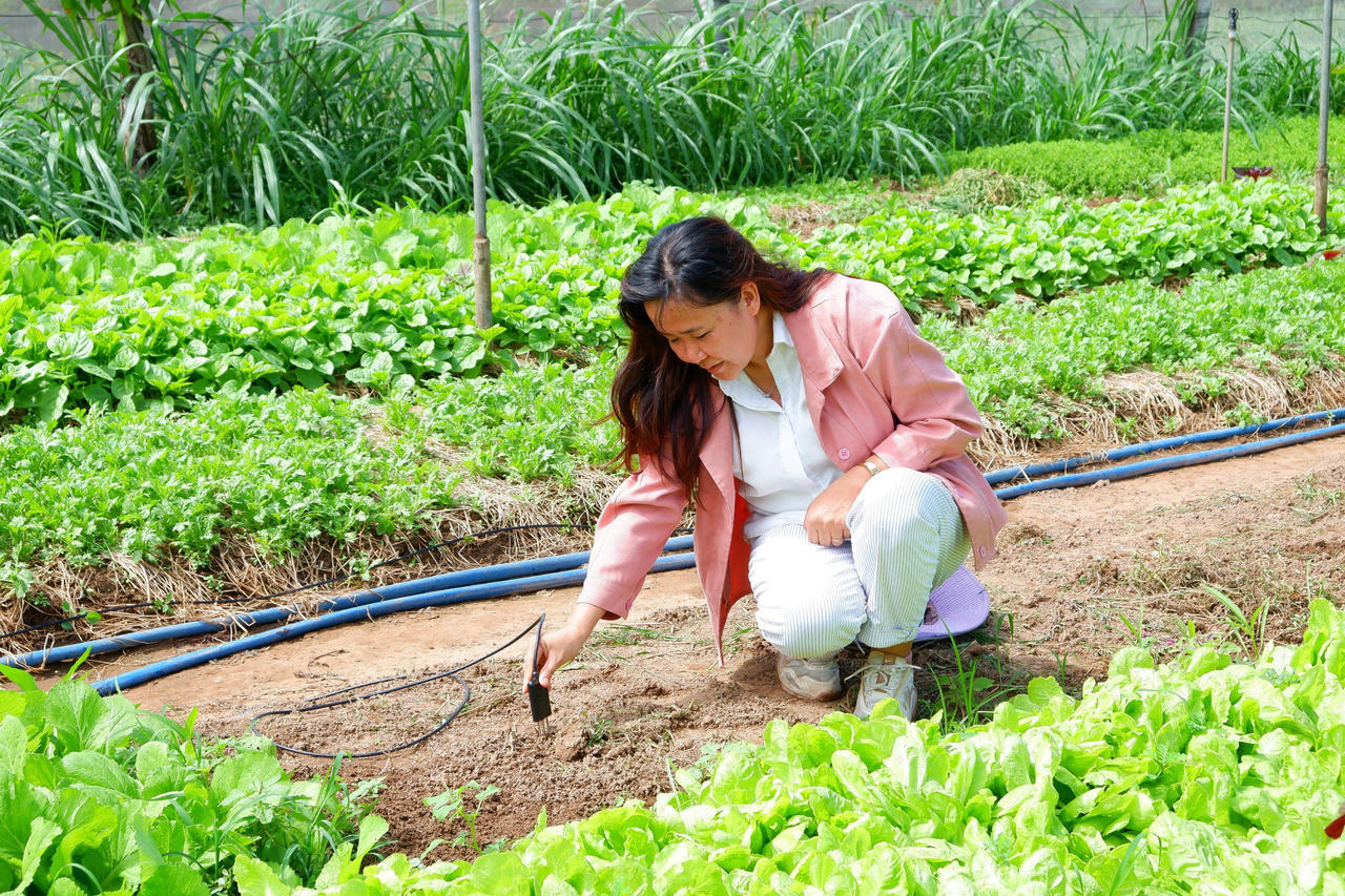 Nhà khoa học "mở đường" cho năng lượng tái tạo