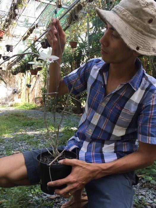 Bảo Duy - niềm mơ ước của những người yêu lan