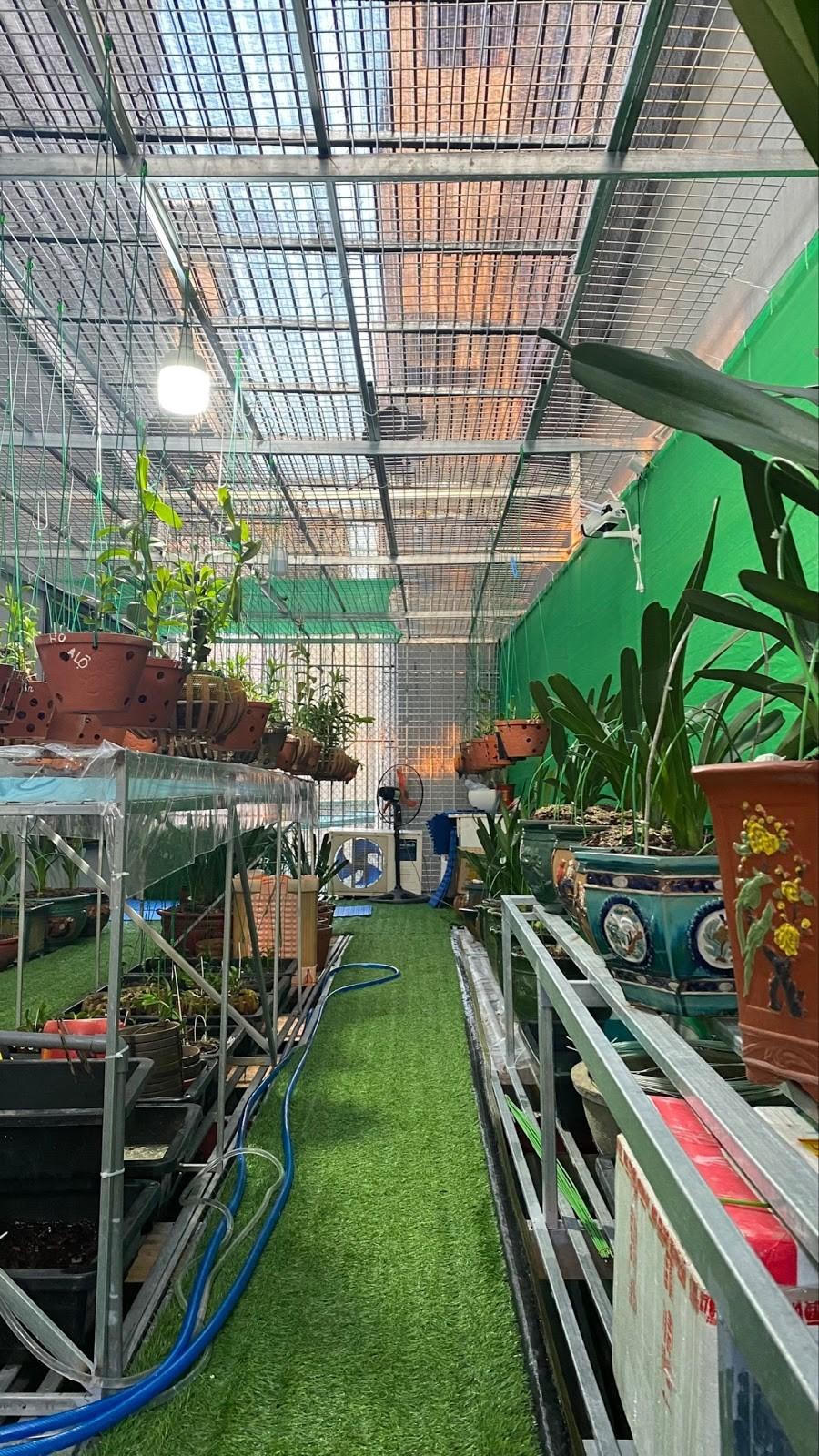 Thăm vườn lan var tiền tỷ Linh Sơn