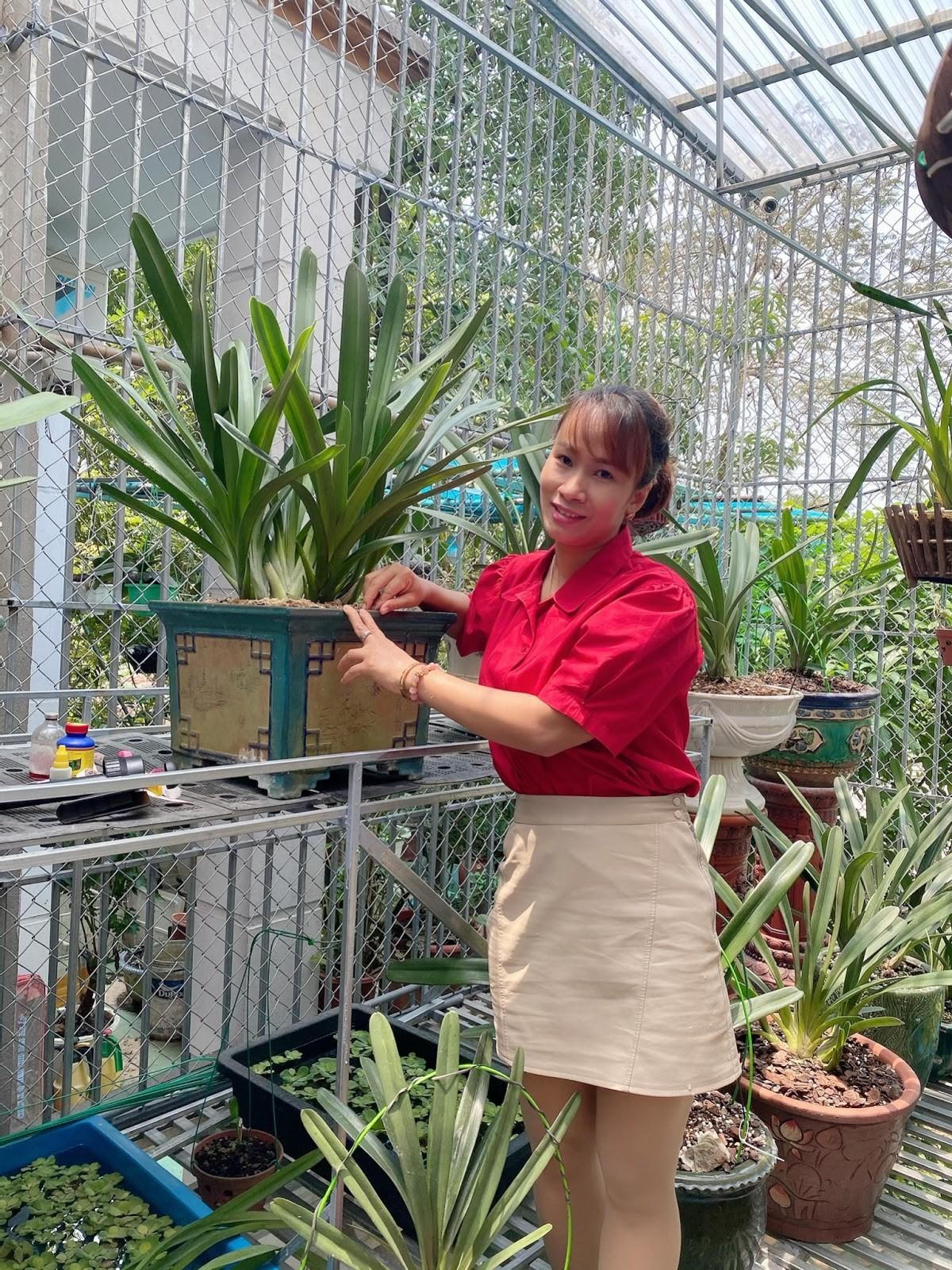 Thăm vườn lan var tiền tỷ Linh Sơn