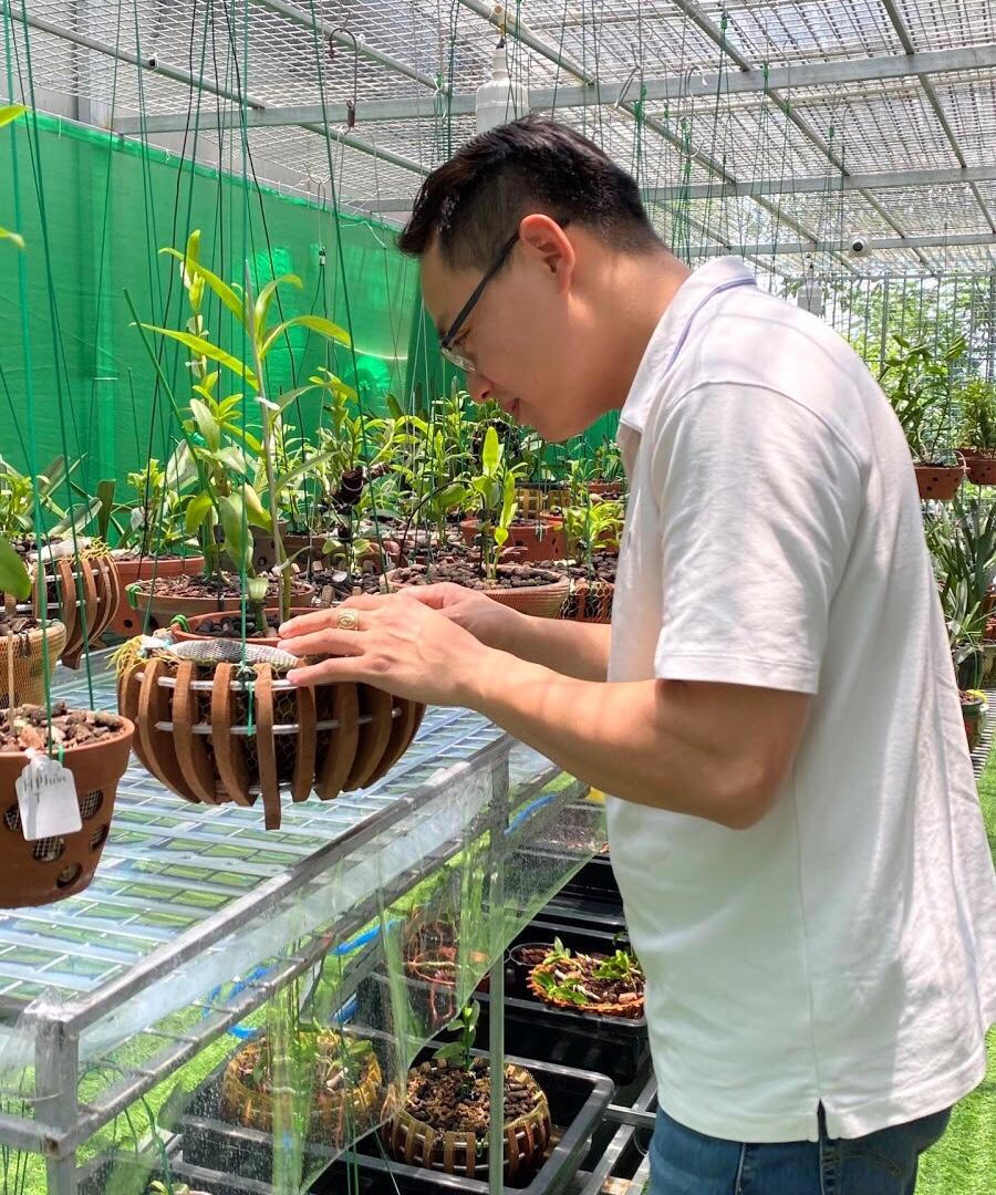 Thăm vườn lan var tiền tỷ Linh Sơn