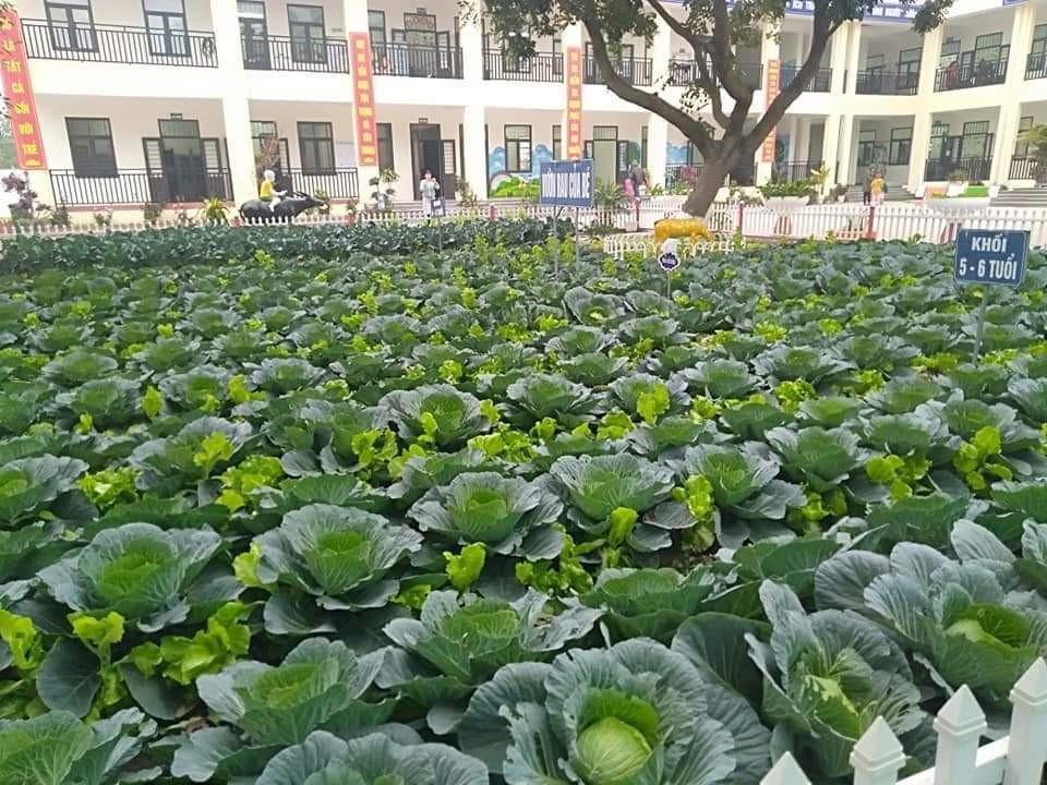 Ngành Giáo dục Việt Yên tiếp tục khẳng định vị trí dẫn đầu tỉnh Bắc Giang