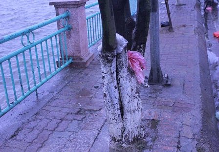 Rác thải tràn ngập Hồ Tây ngày ông Công ông Táo