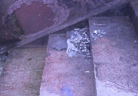 Rác thải tràn ngập Hồ Tây ngày ông Công ông Táo