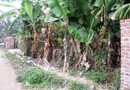 Bắc Ninh: Xã “bất lực” đứng nhìn, dân mỏi mòn cầu cứu