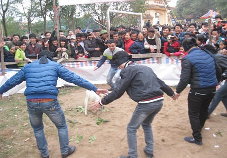 Hội Lim: Nét văn hóa đặc trưng của vùng dân ca quan họ Kinh Bắc