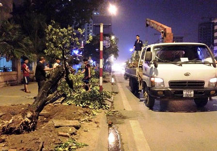 Cận cảnh hàng loạt cây xanh bị đốn hạ ở Hà Nội