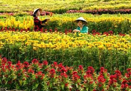 Tuyệt sắc ngôi làng có bốn mùa Xuân