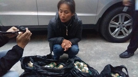 Hà Nội: Bắt giữ đối tượng vận chuyển 750 quả pháo