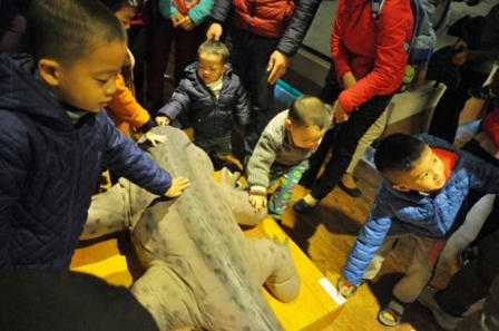 Đua nhau ghé bảo tàng để “sờ” cụ rùa