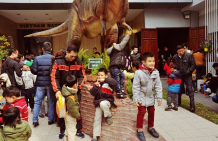 Đua nhau ghé bảo tàng để “sờ” cụ rùa