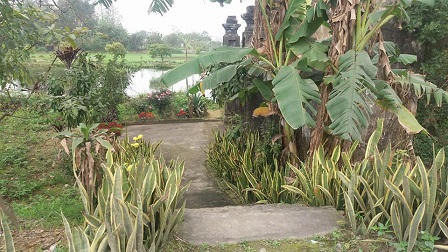 Miếu cô hồn có khả năng cầu tự con trai? 