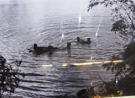 Vang mãi bản hùng ca bất tử “Giải phóng miền Nam”