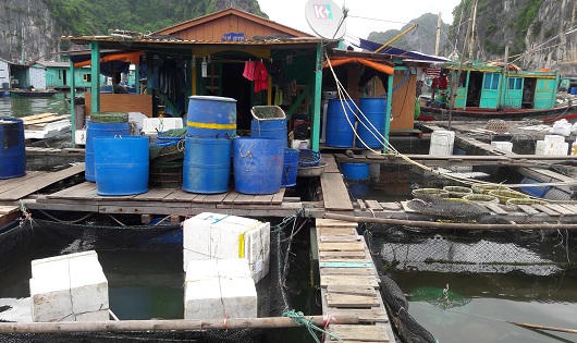 Chuẩn hóa nhà bè để 'cứu' biển