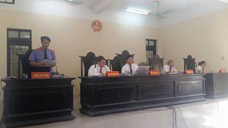 Trùm buôn gỗ 'Minh Sâm': 'Tội đến đâu, bị cáo chịu đến đó'