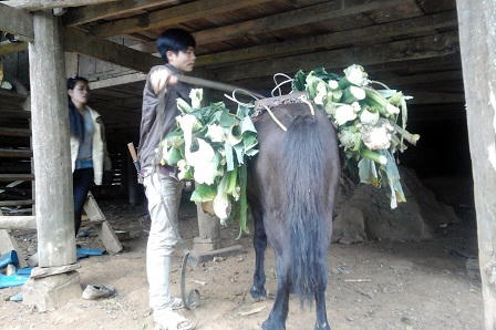 Lầm lũi sống cảnh 'hai không' giữa lưng chừng trời