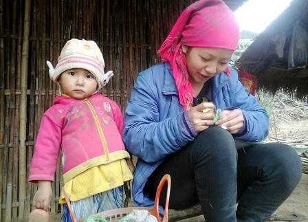 Nhọc nhằn những bước chân trên đỉnh núi tai mèo…