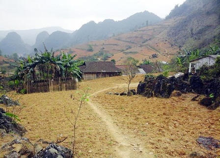 Cụ bà ngoài trăm tuổi cô độc trong túp lều sau bờ rào đá