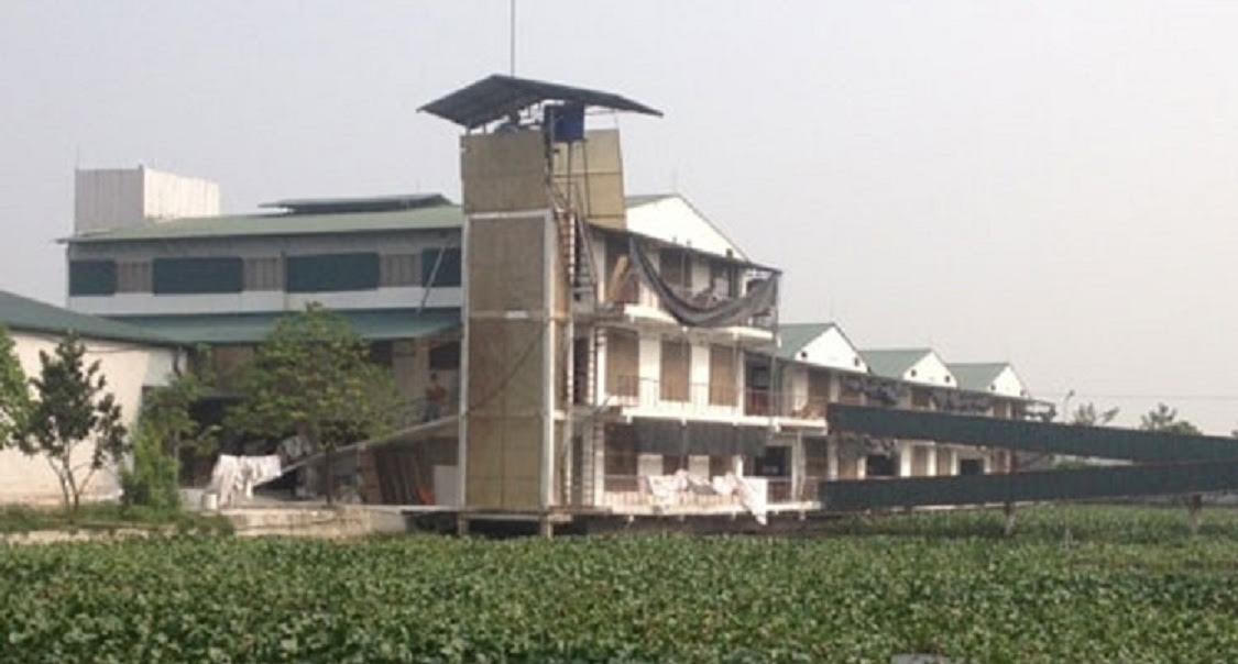 Thành tỷ phú nhờ “liều” xây chung cư  nuôi lợn