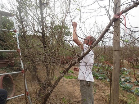 Đào Nhật Tân “đánh bạc”  với thời tiết