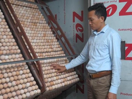 “Đại gia gà” Phạm Đình Dừa: “Nuôi gà dường như là vận mệnh dành cho tôi”