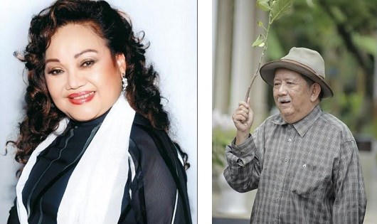 Các nghệ sĩ tuổi Dậu tỏa sáng tại showbiz Việt