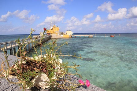 Hình ảnh đẹp trong chuyến thăm Trường Sa của kiều bào