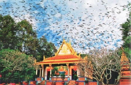 Ngày xuân đi lễ cầu an