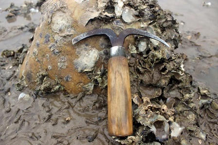 Chuyện chưa kể về những 'thợ mò' trên sông Loan