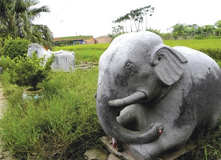 Điều gì khiến cụ ông bất chấp đàm tiếu 'làm bạn' với khu mộ giữa đồng?