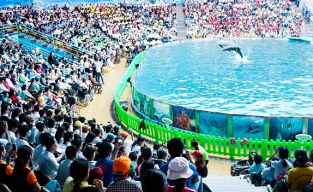 Ngày cuối nghỉ lễ 30/4-1/5: Tăng giá, kẹt xe... vẫn ám ảnh