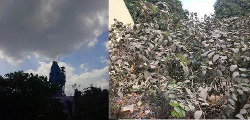 Trường học nằm sát nhà máy xi măng, chính quyền chờ dân kiện mới xử lý?