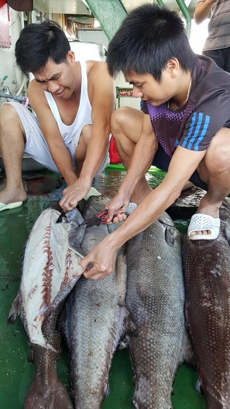 Cuộc sống của những 'soái ca' biển cả