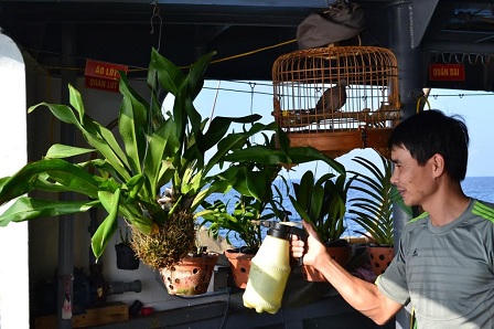 Cuộc sống của những 'soái ca' biển cả