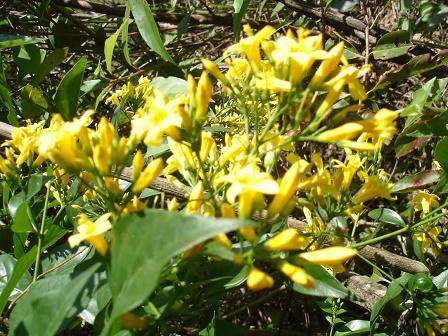 Những người trẻ không muốn sống