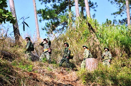'Ăn rừng, ngủ núi' bảo vệ rừng ươi
