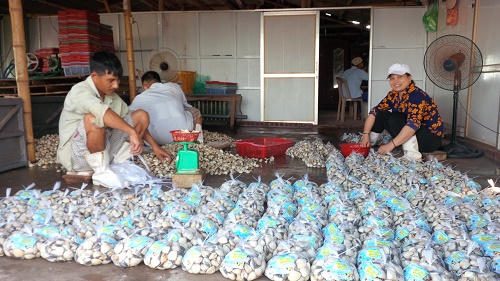 Cuộc sống cần lao của ngư dân trên cửa biển Ba Lạt