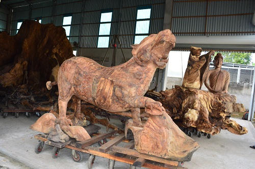 Sóc Trăng: Những tác phẩm kỳ thú từ gốc Bàng trăm tấn 700 năm tuổi 