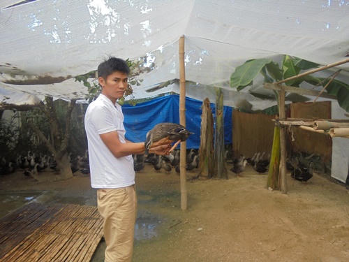 Những thanh niên lập nghiệp thành công trên quê hương